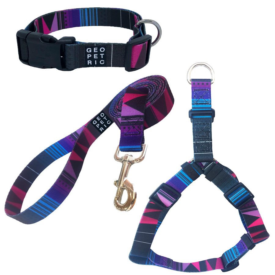 Purple Pawsome Puppy Starter Kit (Paw 2)